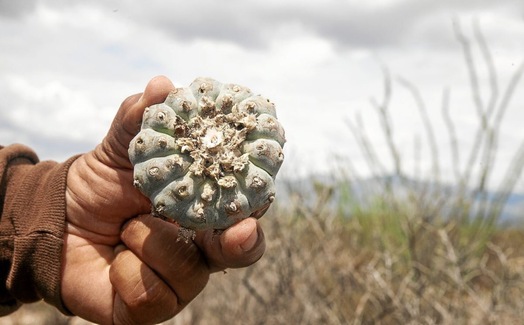 gara-2022-12-09-Reportaje