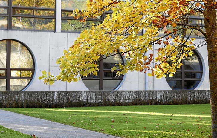 El campus de la Universidad Pública de Nafarroa, envuelta en un escándalo por el sistema de adjudicación de plazas.