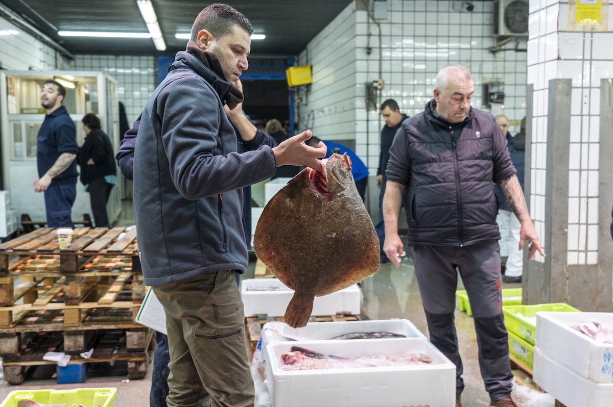 Mercabilbaoko arrain eta itsaskien pabiloia. (Marisol RAMIREZ | FOKU)
