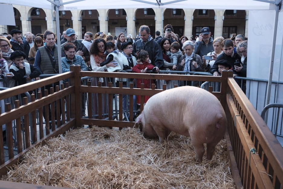 La cerca Roxaita, protagonista en Donostia.
