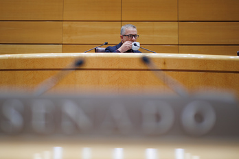 El presidente del Senado, Ander Gil, durante el pleno de ayer.