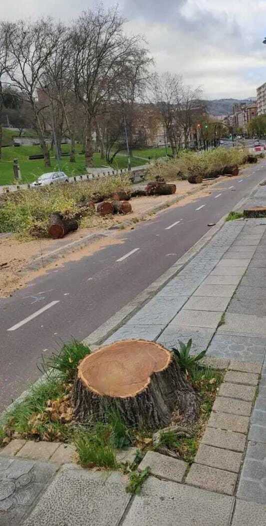 Erabiltzaileek zumarreko mozketa salatu dute sare sozialetan.