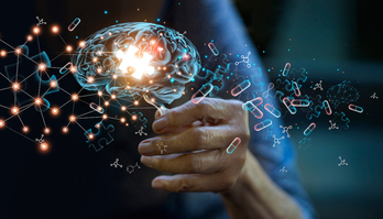 El centro vasco BCBL intenta descifrar el desarrollo de la memoria humana.