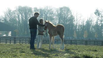 El padre (Pio Marmaï), la hija (Carmen Kassovitz) y el caballo (Tempête).