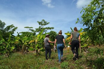 Leire Artola Guatemalako palma landetan