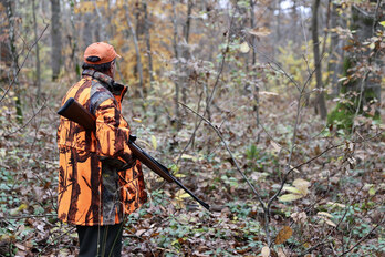 Sur la période 2021-2022, l'Office français de la biodiversité (OFB) a recensé 90 accidents de chasse, dont 8 mortels. 