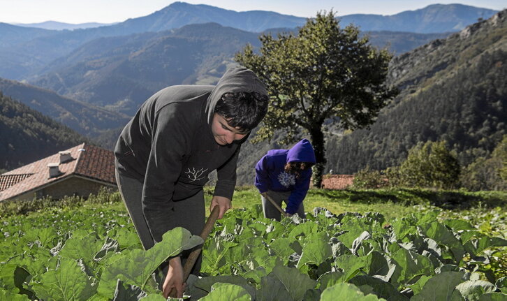 Traktore bat Espartzan. Ekoizpen kostua ikaragarri igo zen pandemian: pentsua %20 bueltan igo zen eta azken hilabeteetan %35-40 gehiago igo da. Salmenta prezioek, berriz, askoz ere mantsoago egin dute gora.