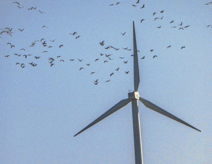Detalle de un molino eólico.