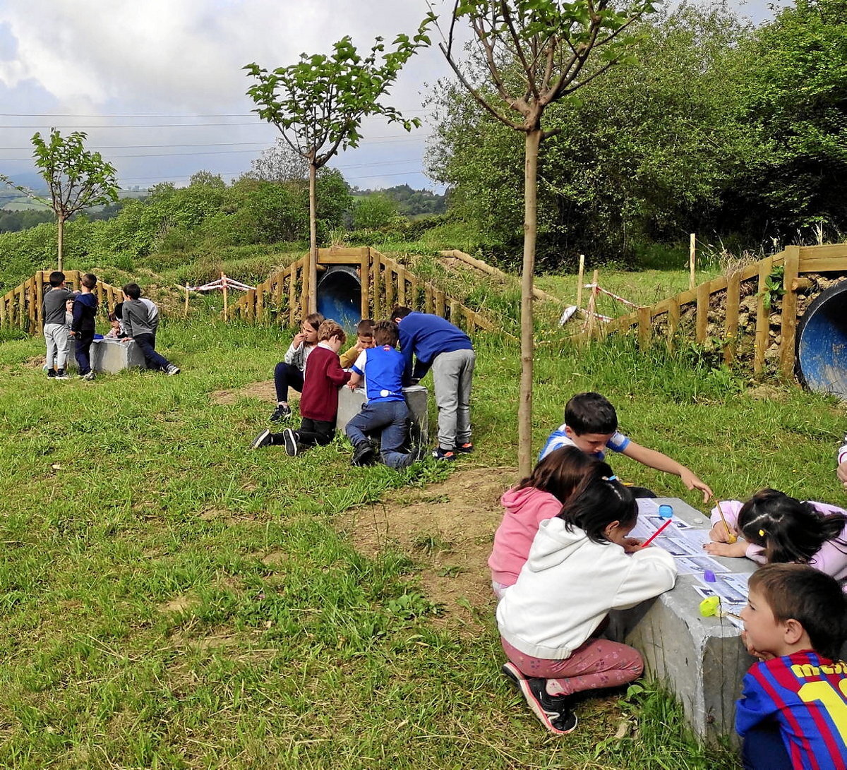 Zarauzko La Salle ikastetxeko ikasleak belardi batean lanean. (GAUR8)