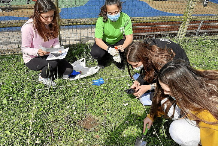 Irungo Eguzkitza ikastetxeko lau ikasle, aukeratutako eremua aztertzen.