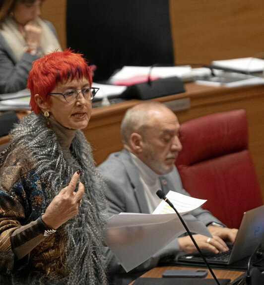 La consejera Santos Indurain se ha comprometido a llevar la eliminación de la exclusividad al Parlamento, donde contaría con el apoyo de Navarra Suma y de Geroa Bai.