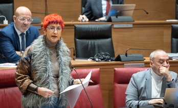  La consejera Santos Indurain, en el Parlamento.