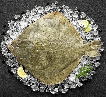 gara-2023-01-23-Noticia