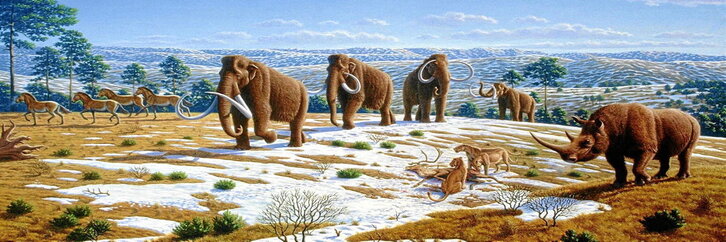 Mamut iletsuak hartzeko prest azaldu den Siberiako ‘Pleistozenoaren parkea’ deritzonaren irudia.