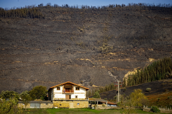 El incendio entre Zalla y Balmaseda del pasado mes de octubre arrasó casi 500 hectáreas.  