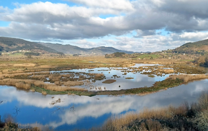 Milaka espezieren habitata diren Urdaibaiko Padurak, irudian.