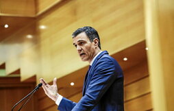 El presidente del Gobierno español, Pedro Sánchez, durante su intervención en el Senado.