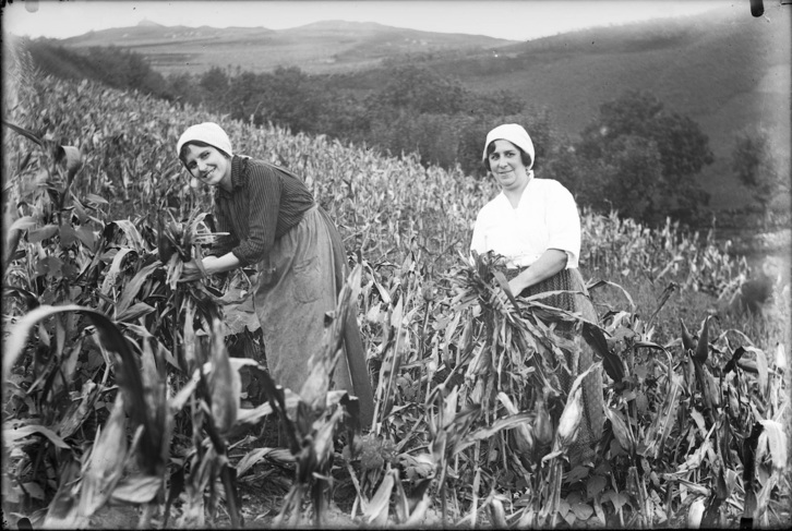 Mujeres de Arantza, trabajando en un maizal.