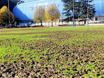 Estado en el que se encuentra el césped del miniestadio de Anoeta.