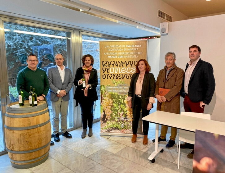 Presentación de la variedad Oneca.