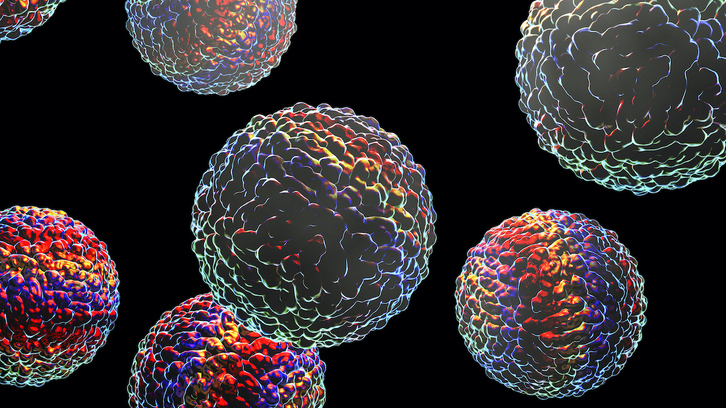 La neurociencia trata de reconstruir neurona a neurona el cerebro de insectos.