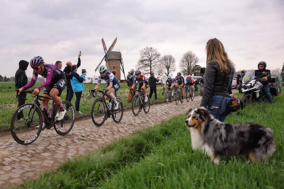 Lasterketak irudi politak utzi zizkigun.