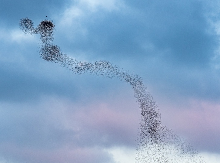 Roberto Bueno Hernandezen ‘Marmarra’ izeneko irudia da Fotciencia 18k erakusten dituen argazkietako bat.