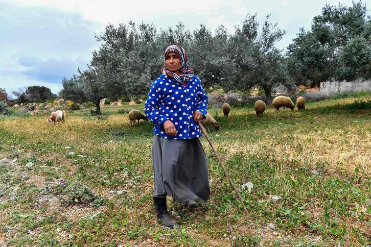 Emakume bat, artzai lanetan Tunisian.
