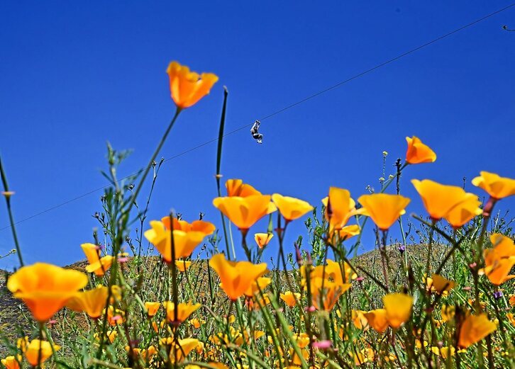 Fotografía: Frederic J. Brown | AFP