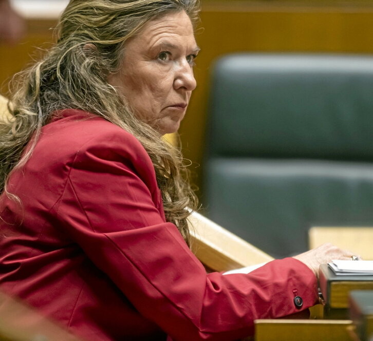 Sagardui, durante un pleno de control.