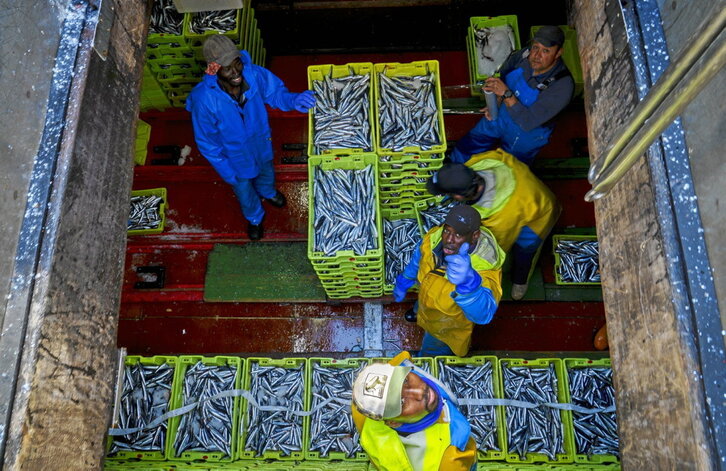 Agustin Deuna ontziko arrantzaleak, ostiralean, Getariako portuan, arraina ateratzen.