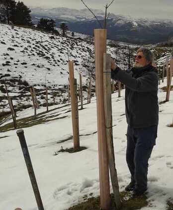 Joaquin Diaz-Munio ‘Tximo’ se dedicó durante sus últimos años a reforestar el monte Cerredo.