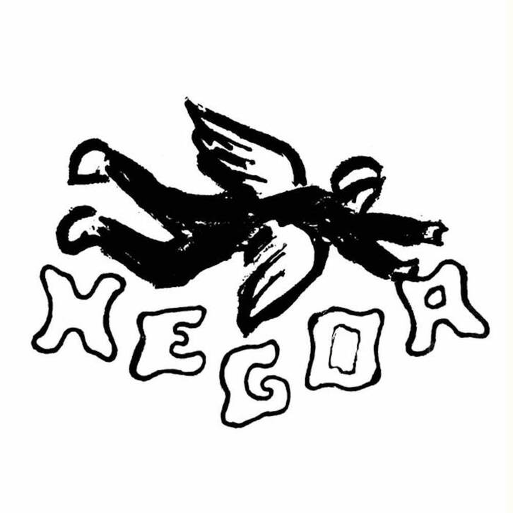 ‘Hegoa’ disketxea