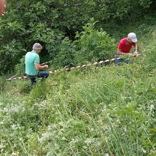 Activistas protegiendo árboles y arbustos del parque del Camino de Capuchinos.