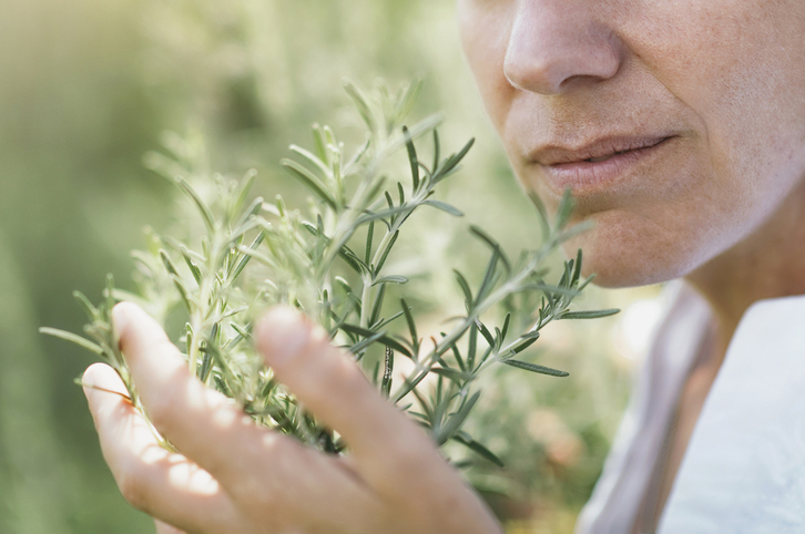 Un equipo de cientificos ha hecho posible oler a romero desde la realidad virtual.
