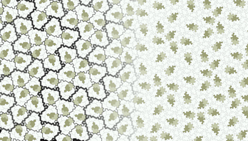 Imagen difundida por la Universidad de Waterloo que muestra la nueva forma geométrica.