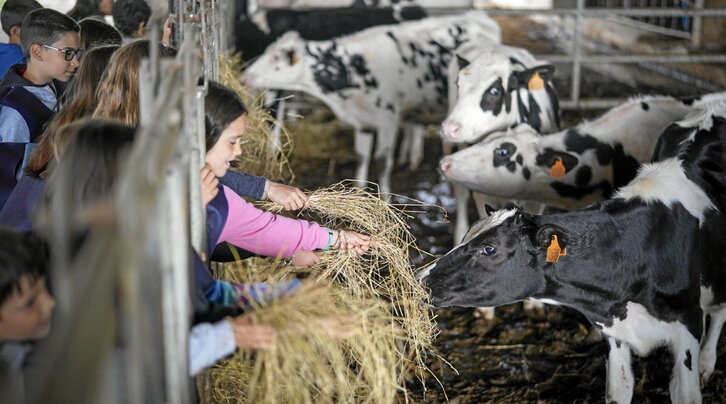 Txahalei bazka ematen aritu ziren atzo umeak.