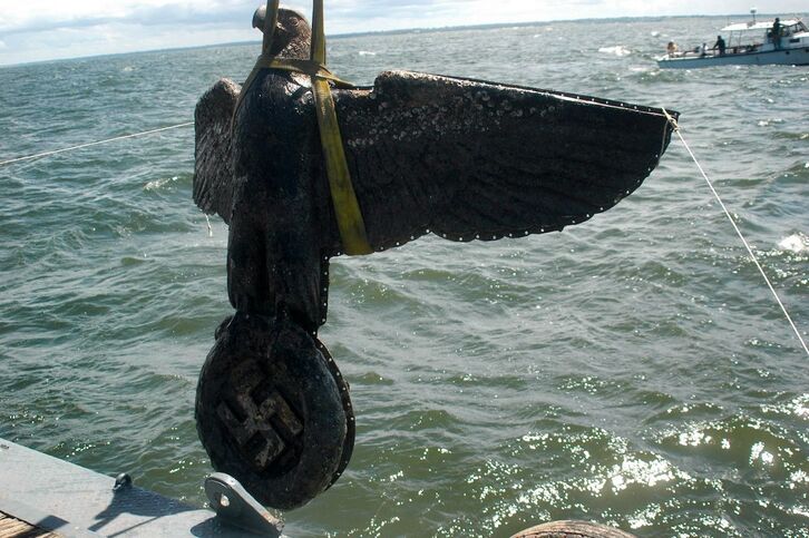 El águila fue recuperada hace 17 años en el Río de la Plata