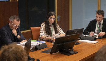 Rosa Perez Osakidetzako zuzendaria, Gasteizko Legebiltzarrean egindako agerraldian.