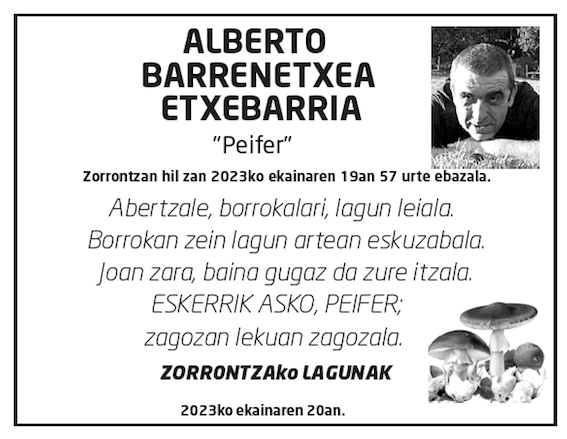 Alberto-barrenetxea-etxebarria-3