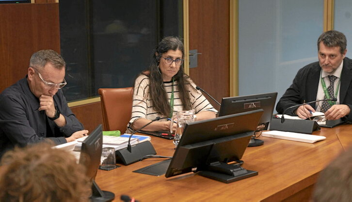 Rosa Perez Osakidetzako zuzendaria, Gasteizko Legebiltzarrean egindako agerraldian.