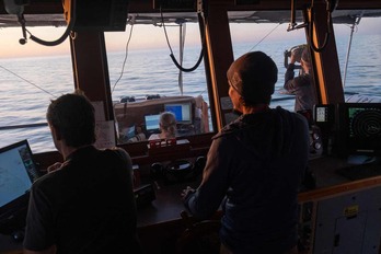 Avistando vaquitas marinas.