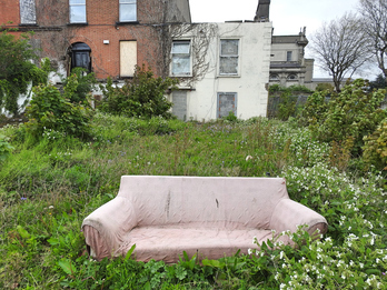 El porcentaje de personas que viven en viviendas públicas ha disminuido, mientras que el sector privado de alquiler ha experimentado un crecimiento significativo.