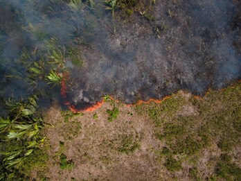 Imagen aérea de un incendio en 2021 en la Amazonía, la zona más afectada por la deforestación.