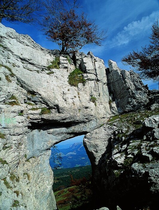 Itxina, atxiboko irudian. 