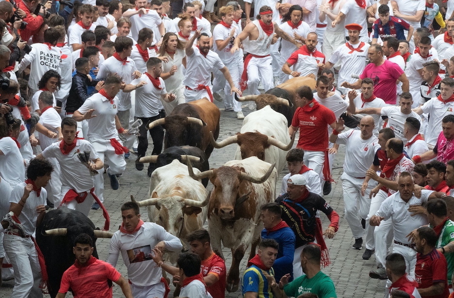 Los primeros toros llegan al coso. Los primeros toros llegan al coso.