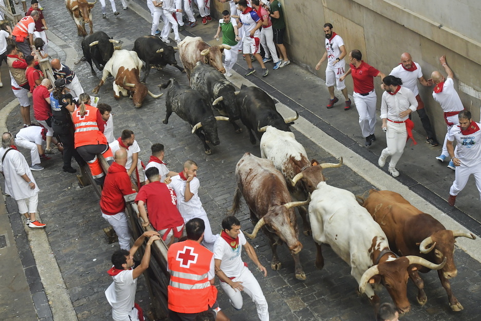 Un cabestro cae en Santo Domingo, donde no ha habido mayores problemas. Un cabestro cae en Santo Domingo, donde no ha habido mayores problemas.