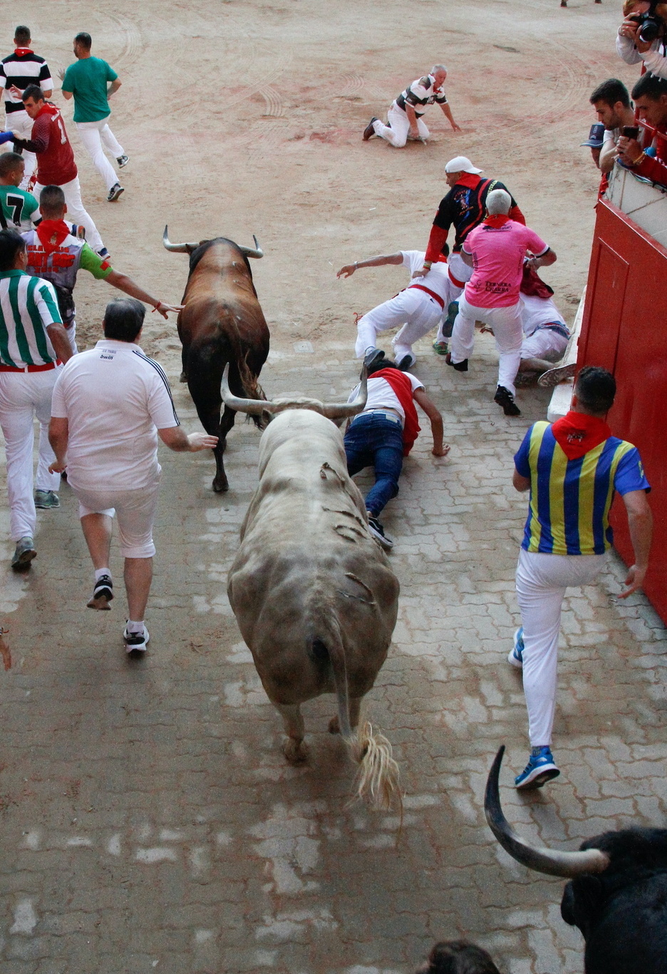 La entrada en el ruedo de uno de los dos grupos de Fuente Ymbro.