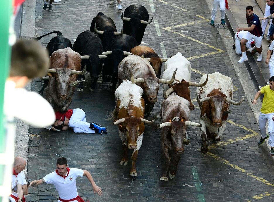 Santo Domingoko aldapan gora, zezenak jaun eta jabe.