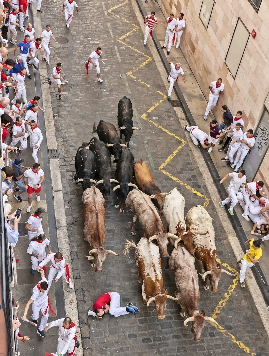 Santo Domingo kalea goitik behera garbitu dute adardunek.